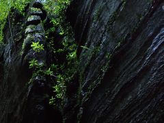 -梭布垭石林景区