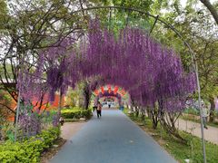 -广东花都香草世界旅游度假区