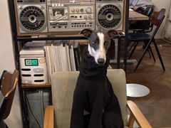 -21G Espresso(吉珠南门店)