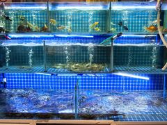-李记潮汕砂锅粥(营福路店)