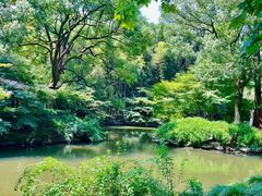 -杭州植物园