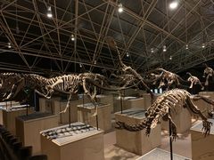 -世界恐龙谷景区