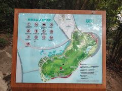 -野狸岛