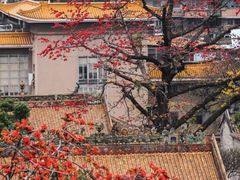 -东山湖公园