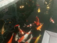 -马哥孛罗咖啡厅·Cafe Marco (厦门马哥孛罗东方大酒店)