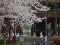 -堤角公园