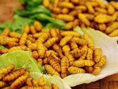 -丰尔粥食·顺德鱼生·干蒸排骨顺德菜(大良分店)