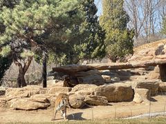 -北京野生动物园