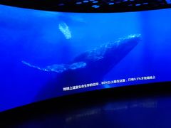 -同济大学四平路校区深海探索馆