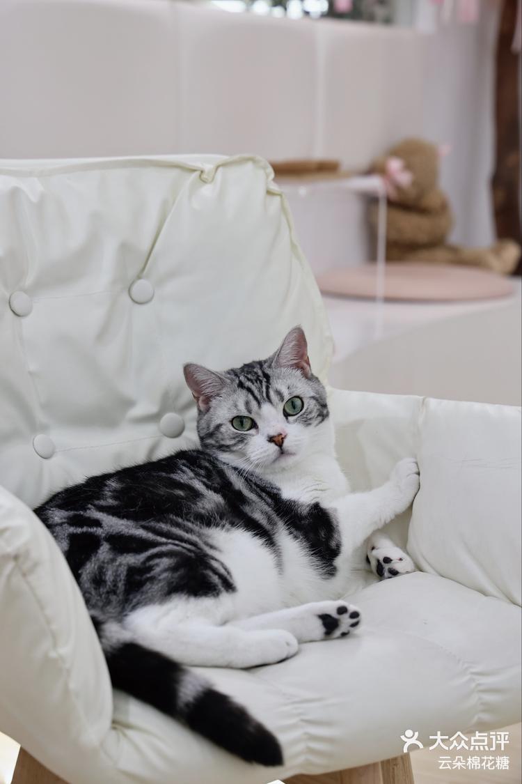 美美睡一觉一觉睡醒变美啦