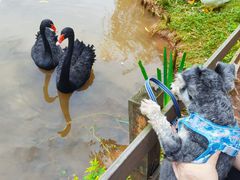 -黄龙溪欢乐田园