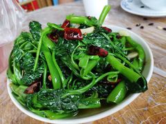 -东吴霸王兔(松青路店)
