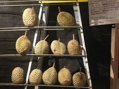 -都念榴莲·城市榴莲