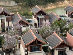 -清远熹乐谷温泉度假酒店