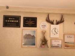 -薇兰专业脱毛连锁机构