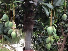 -南通洲际绿博园