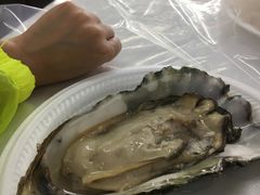 -垦丁辉哥生鱼片