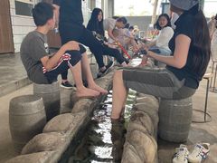 -特种渔场