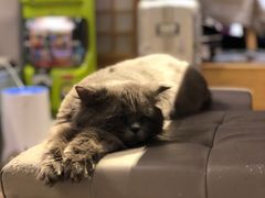 -小时光咖啡馆(开森度假森林店)