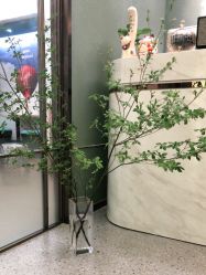 点击看大图 -苗方清颜·祛痘皮肤管理