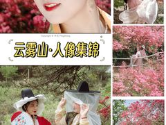-木兰云雾山