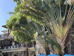 -清水湾旅游度假区