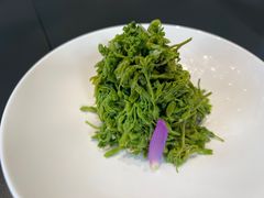 -金狮麟·宋宴