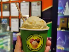 -Dooley's Premium Ice Cream