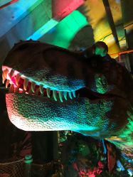 -恐龙探索乐园(磁器口店)