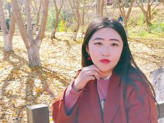 -千年银杏谷文化旅游区