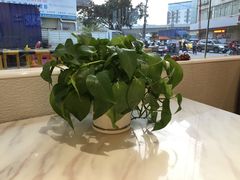 -培万河间驴火•驴肉火锅(东平店)