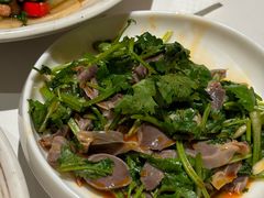 香菜鸡胗-慧娟面馆·餐厅(望江路店)