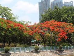 -屯门公园