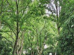-荔香公园
