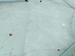 -通辽森林公园