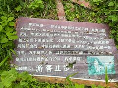 -青峰峡国家森林公园