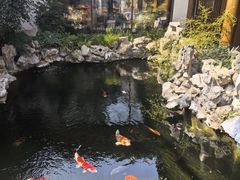 -鲤院·新中式美学·庭院餐厅(夫子庙店)
