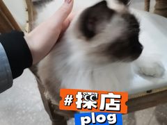 -共舞时光猫咖·狗咖(新街口店)