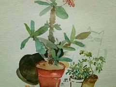 -信马画室 成人零基础到个人创作画室(亚运村店)