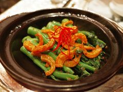 啫啫芥兰-8餐厅(新葡京酒店)