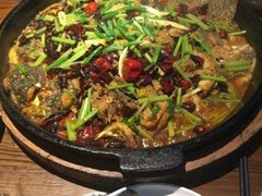 -老板恋上鱼(荣盛广场店)