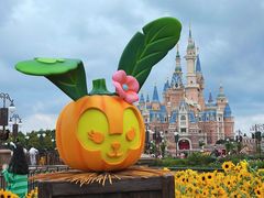 -上海迪士尼度假区