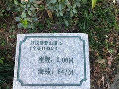 -梧桐山风景名胜区