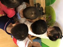 -婴智贝佳蒙特梭利早教托育中心(杨浦店)