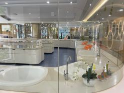 -宝生月子中心·独栋独院式(南山店)