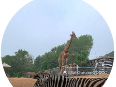 -大连森林动物园