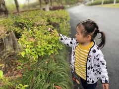 -白塘生态植物园