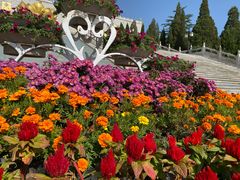 -龙口南山旅游景区