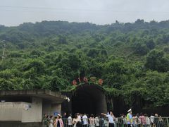 -816工程景区