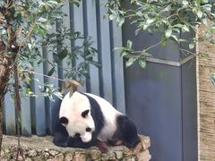 -黔灵山公园